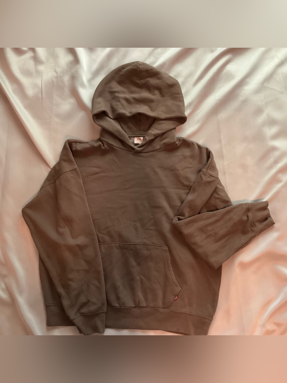 Levi's Men's Hoodie in Olive Brown